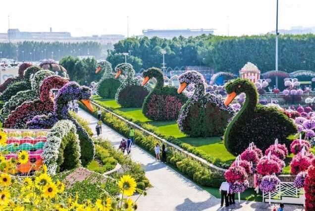MIRACLE GARDEN