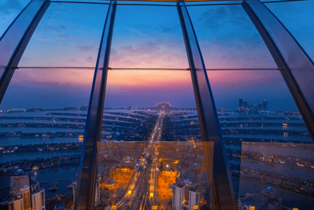 The View At The Palm